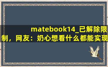 matebook14_已解除限制，网友：奶心想看什么都能实现！,matebook d15